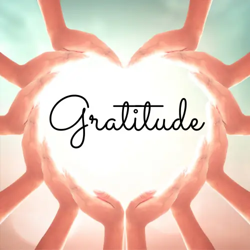 Gratitude